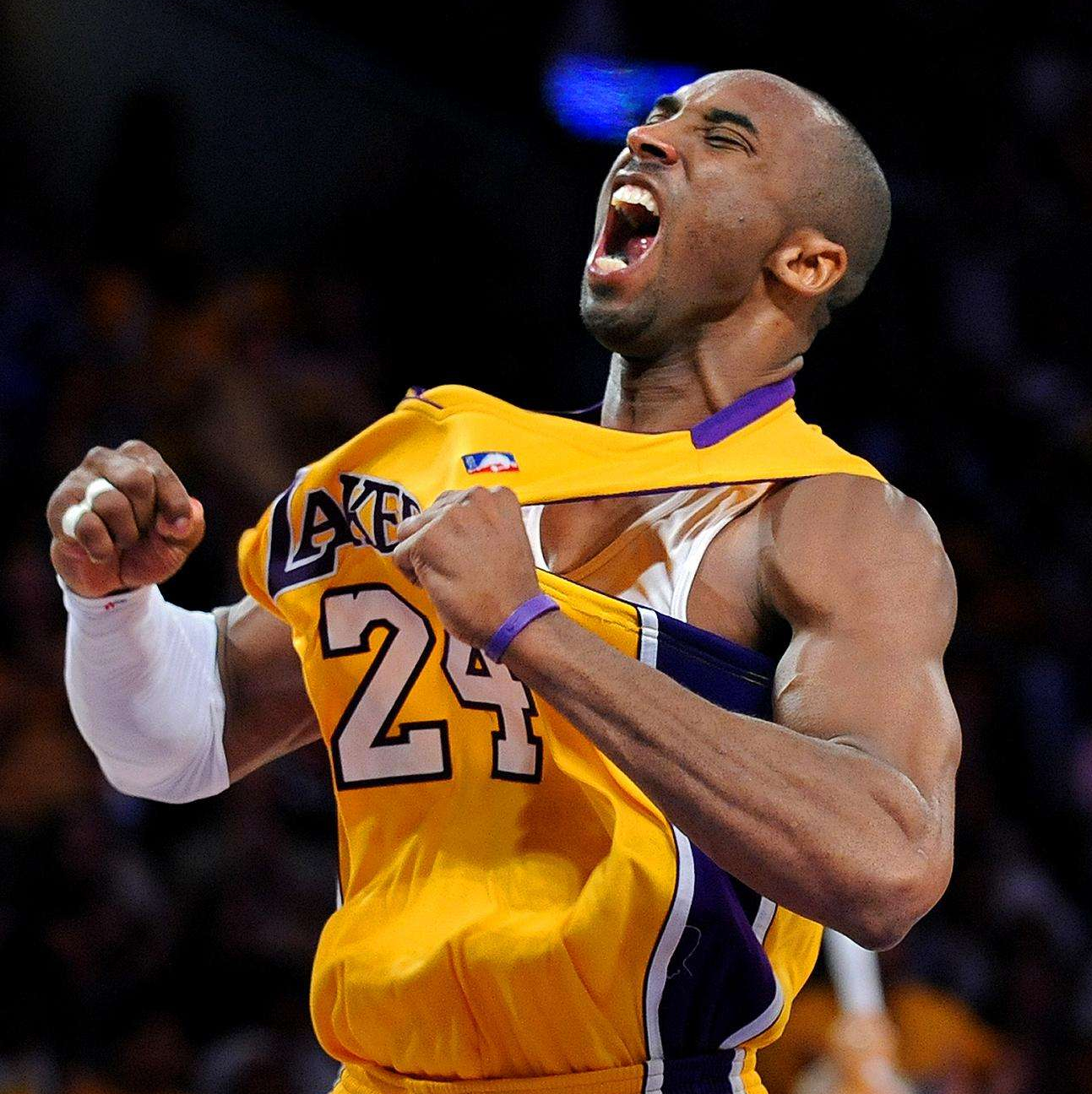 综合体育门 综合体育门